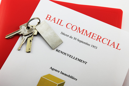 bail professionnel